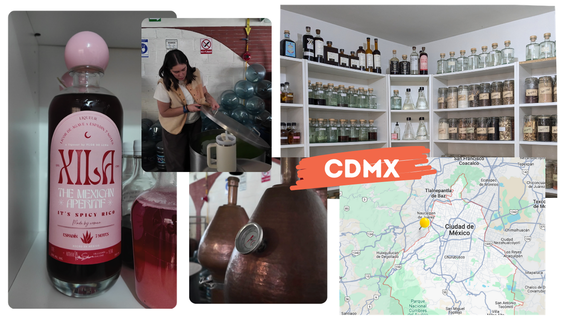 Taking an Uber to Estado de Mexico